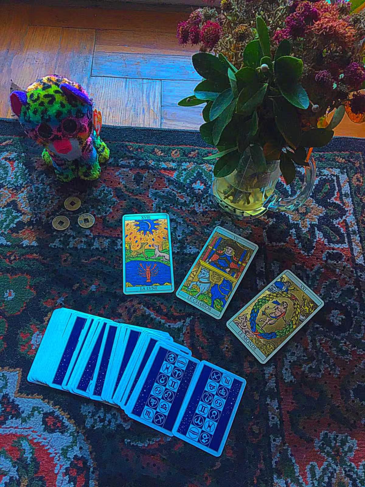 Live tarot reading sessions and psychic readings in Zagreb, talk tarot 1-on-1.